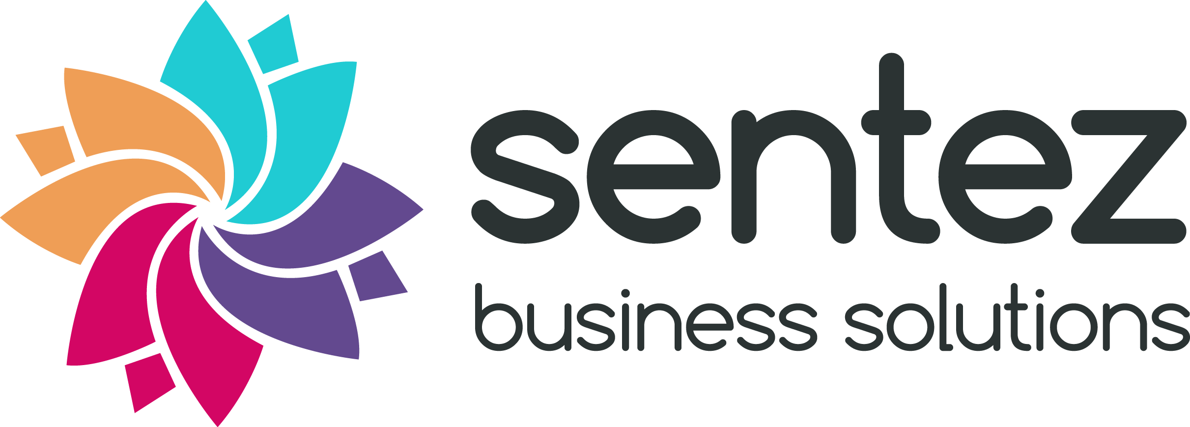 SentezLogoSourceblacktext SentezLogoSourceblacktext